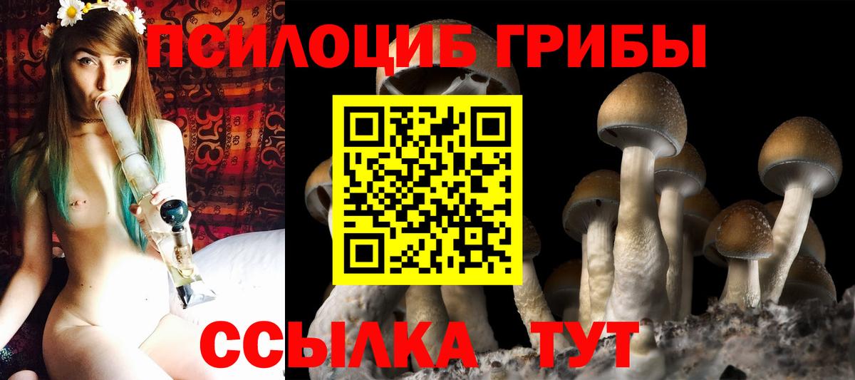 Галлюциногенные грибы мухоморы Котельники
