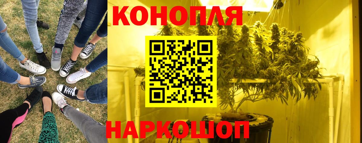 Котельники  Конопля марихуана  Канабис конопля  Бошки Шишки ГИДРОПОН  Вход с VPN 